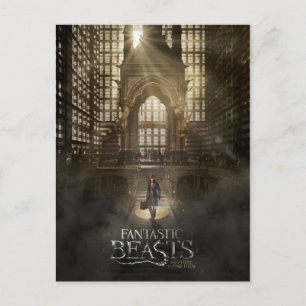 NEWT SCAMANDER™ in MACUSA™ Headquarters Postcard