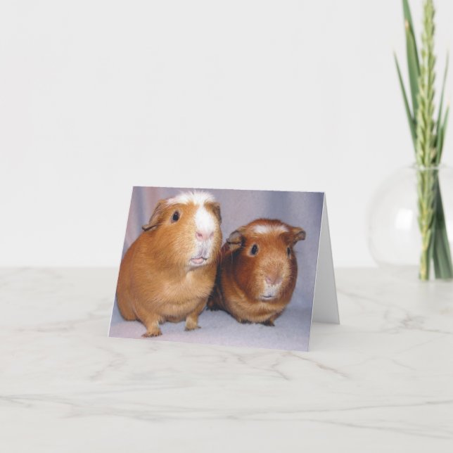 Newton and Skeeter Notecard (Front)