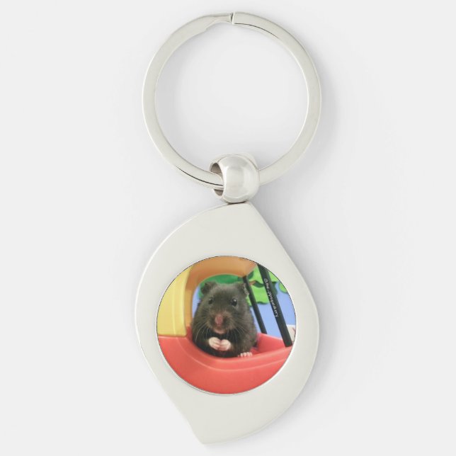 Newton Goes For a Drive Key Ring (Front)