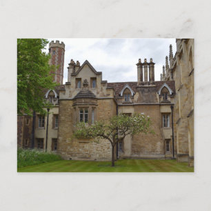 Newton's Apple Tree Cambridge Postcard