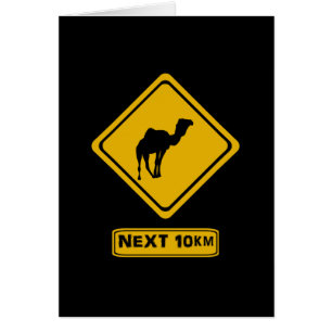 next 10 km camels