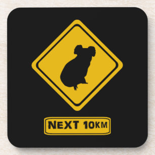 next 10 km koalas coaster
