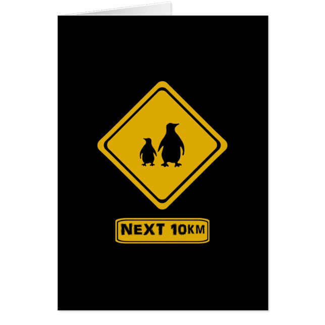 next 10 km penguins (Front)