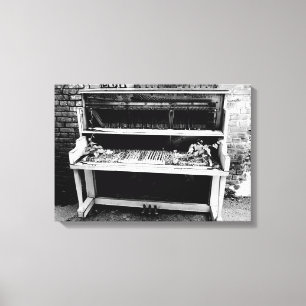 Next Years Crop of Musicians Canvas Print