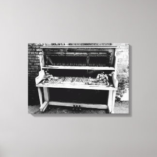 Next Years Crop of Musicians Canvas Print