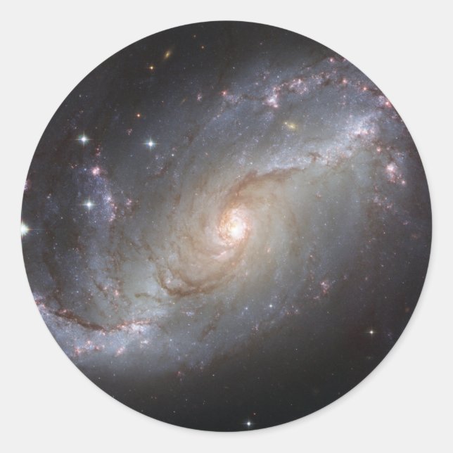 NGC 1672 Barred Spiral Galaxy Classic Round Sticker (Front)