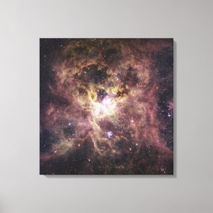 NGC 2070, The Tarantula Nebula Canvas Print