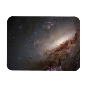Ngc 4258 Undergoing Intense Star Formation. Magnet