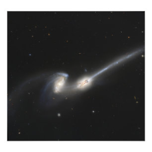 NGC 4676, also known as the Mice Galaxies Photo Print