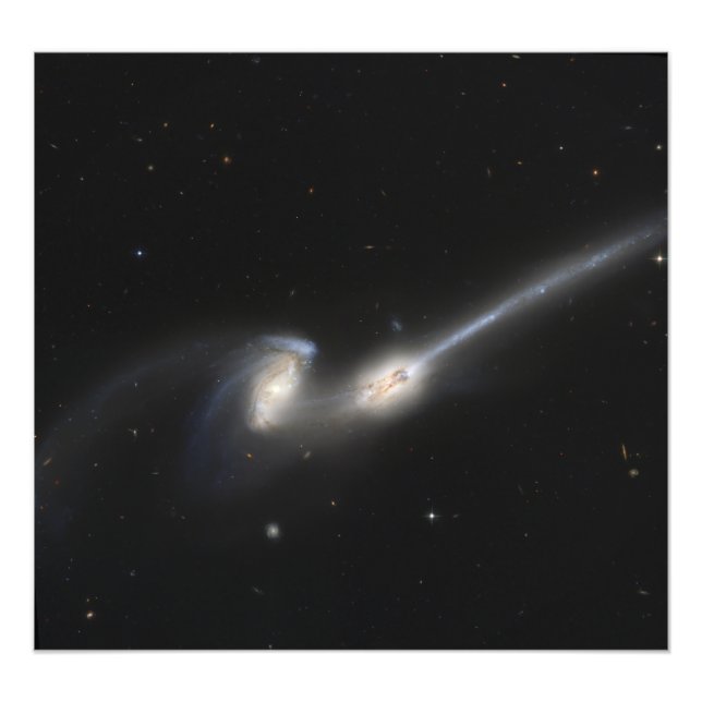 NGC 4676, also known as the Mice Galaxies Photo Print (Front)