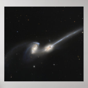 NGC 4676, also known as the Mice Galaxies Poster
