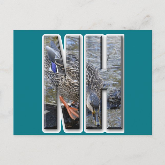 NH NEW HAMPSHIRE POSTCARD (Front)