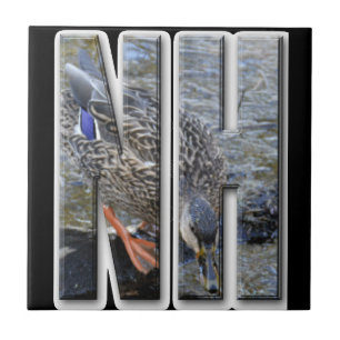 NH NEW HAMPSHIRE TILE