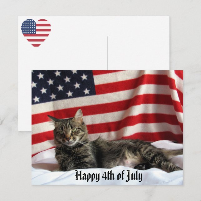 Nia The Cat's Happy Independence Day America Postcard (Front/Back)