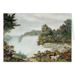 Niagara Falls, from Goat Island