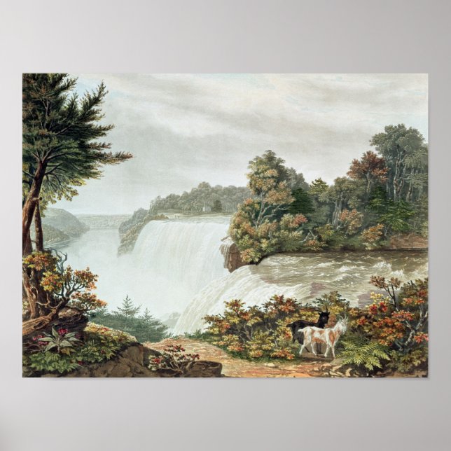 Niagara Falls, from Goat Island Poster (Front)