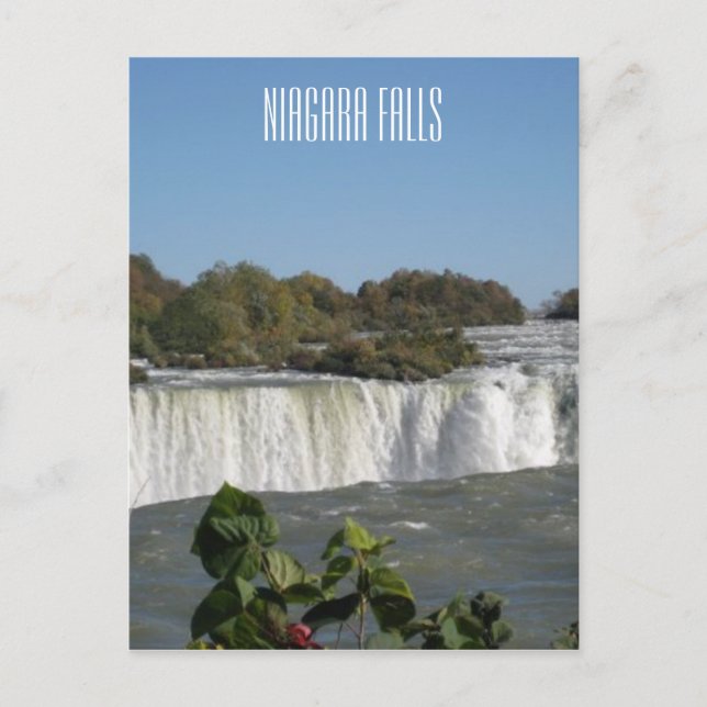 Niagara Falls Photograph Postcard (Front)