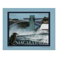 Niagara Falls Poster