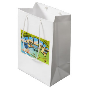 Niantic Connecticut CT Old Vintage Travel Souvenir Medium Gift Bag