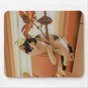 Nibbler is Catnipping Mouse Pad