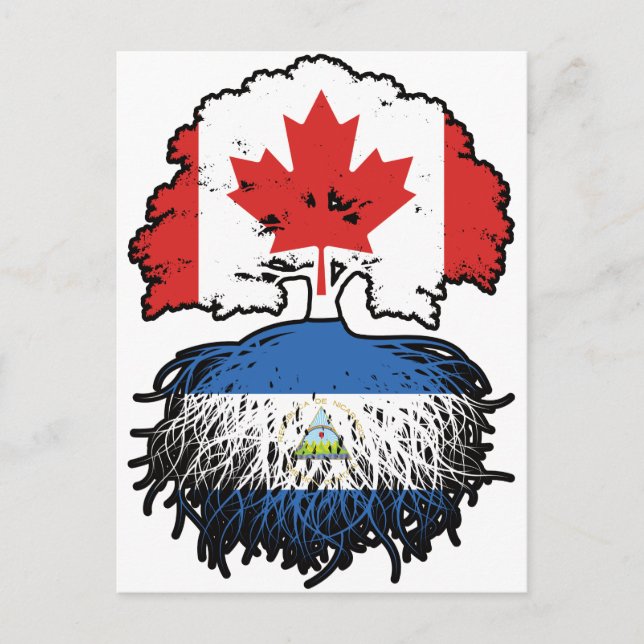 Nicaragua Nicaraguan Canadian Canada Tree Roots Postcard (Front)