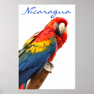 Nicaragua Scarlet Macaw Poster