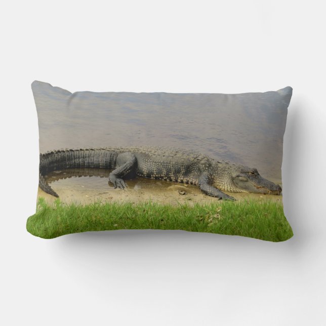 Nice and quiet. Florida Alligator Lumbar Cushion (Front)