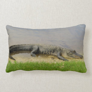 Nice and quiet. Florida Alligator Lumbar Cushion