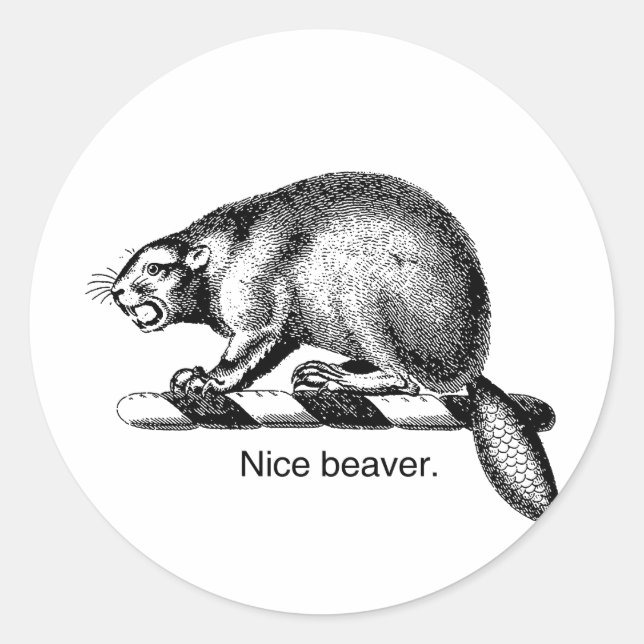 NICE BEAVER -.png Classic Round Sticker (Front)