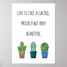 Nice cactus phrase with three cactus drawings