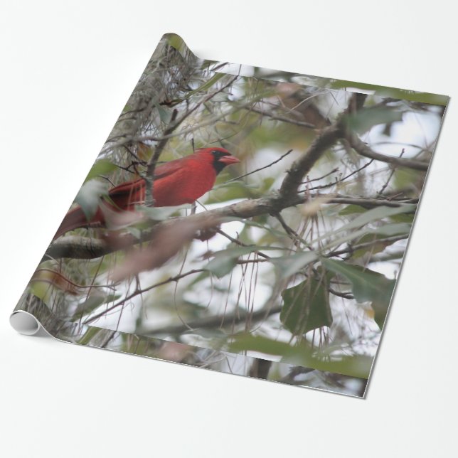 Nice Cardinal photo Wrapping Paper (Unrolled)