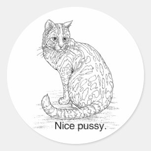 NICE CAT CLASSIC ROUND STICKER