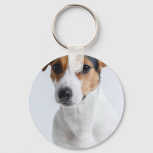 Nice dog Pet Memorial Pet Loss Keepsake Dog Photo Key Ring