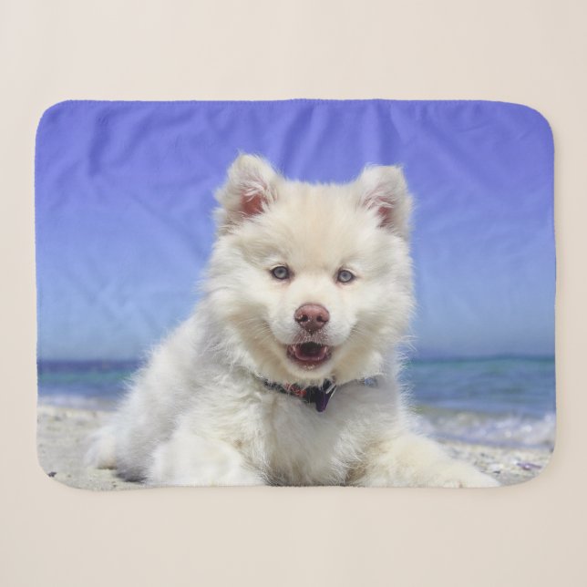 Nice Doggy Baby Blanket Small (Front (Horizontal))