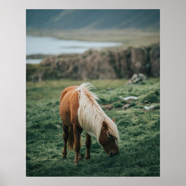 NICE HORSE POSTER (Front)