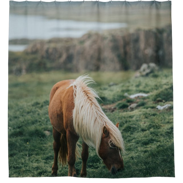 NICE HORSE SHOWER CURTAIN (Front)