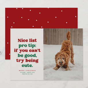 Nice list funny cute red green pet photo Christmas Holiday Card