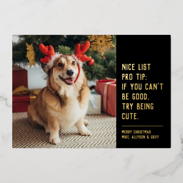 Nice list funny pet black gold Christmas photo (Front)