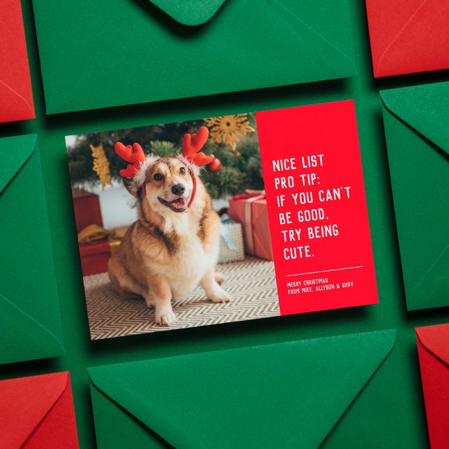 Nice list funny pet Christmas photo Holiday Card (Creator Uploaded)