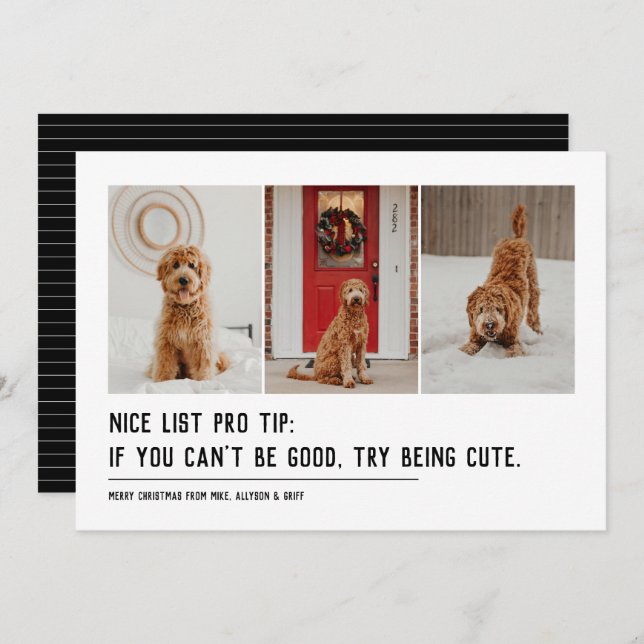 Nice list funny pet three photo black Christmas Holiday Card (Front/Back)