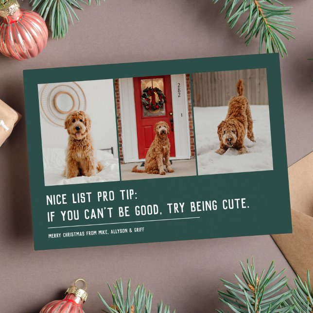 Nice list funny pet three photo green Christmas Holiday Card (Creator Uploaded)