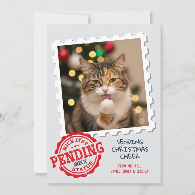 Nice List Pending Funny Cat Dog Photo Christmas Holiday Card (Front)