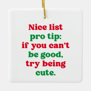 Nice list pro tip cute funny pet photo Christmas Ceramic Ornament