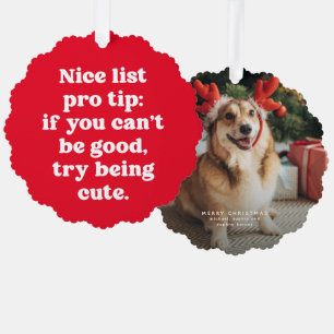 Nice list pro tip cute funny red pet holiday tree decoration card