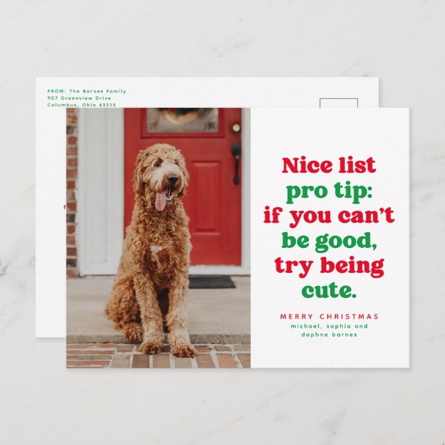 Nice list pro tip funny one photo Christmas pet  Holiday Postcard (Front/Back)
