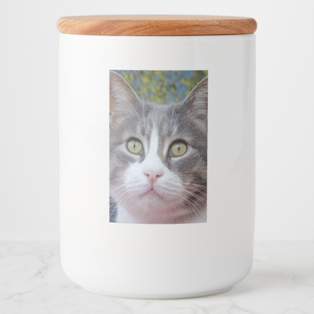Nice Looking Cat Food Container Label (Front)