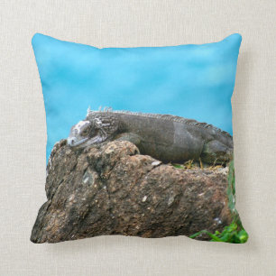 Nice Looking Iguana of St. Thomas U.S.V.I Cushion
