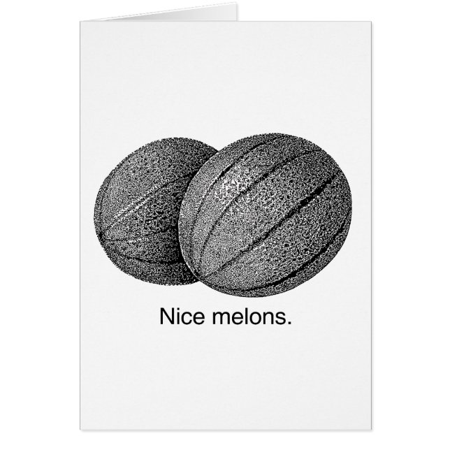 NICE MELONS -.png (Front)