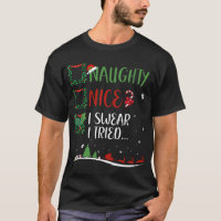 Nice Naughty I SWEAR I TRIED... Christmas Matching
