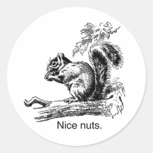 NICE NUTS -.png Classic Round Sticker